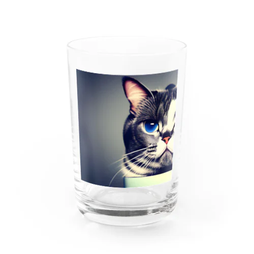 ふてぶてしく見つめるぽっちゃり猫 Water Glass