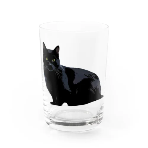 黒猫 グラス