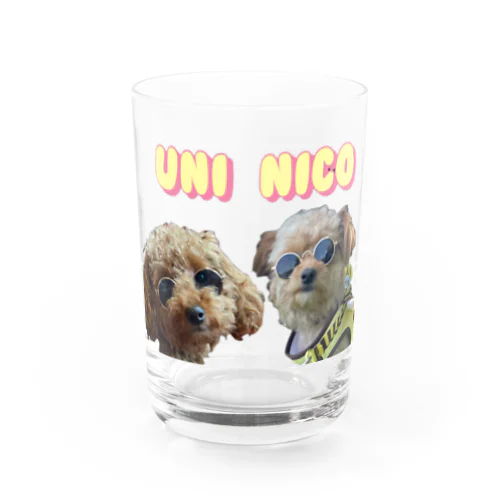 uni nico Water Glass