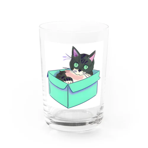 ダンボール猫 Water Glass