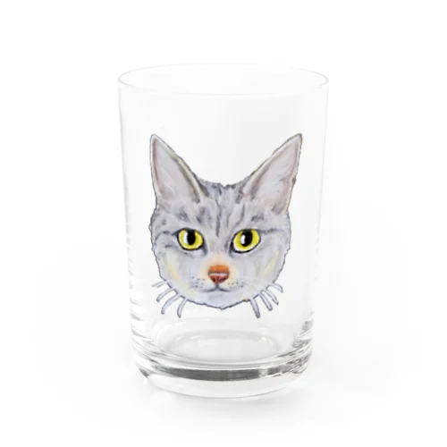 チョークアートのキジトラ猫😸 Water Glass