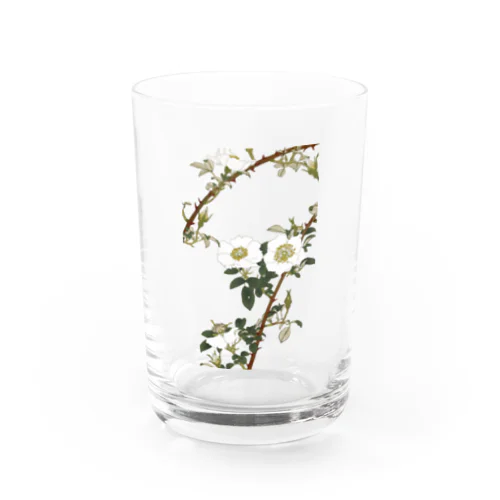 なにはいばら Water Glass