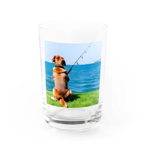 the dog is fishing fish Water Glass