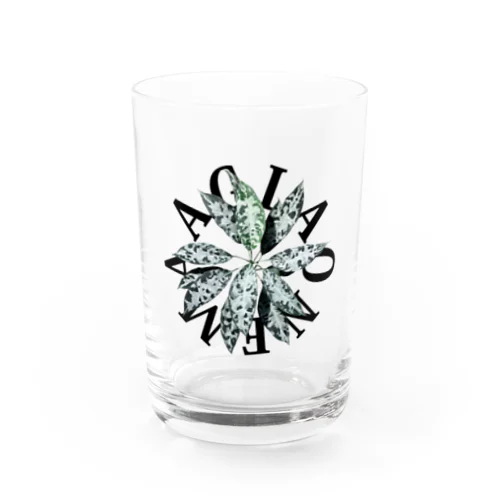 【サークルロゴ】AGLAONEMA PICTUM（アグラオネマピクタム）BLACK Water Glass