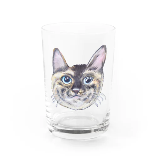 チョークアートの見上げるサビ猫 Water Glass