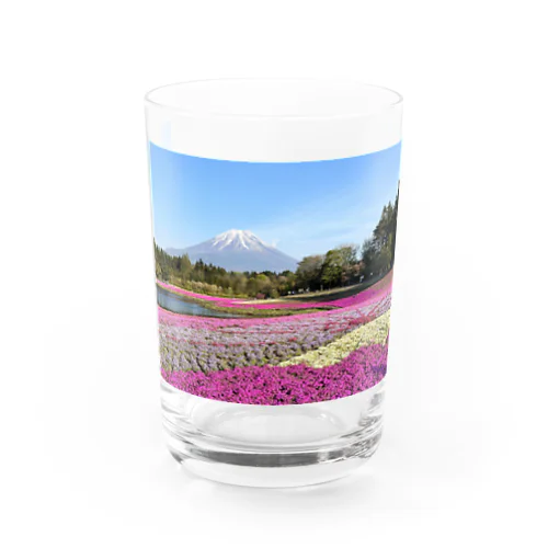 富士山と本栖湖と芝桜 Water Glass