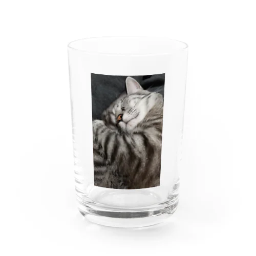 ふてぶてしい猫です｡ Water Glass