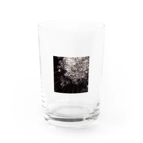 美の挑戦 Water Glass