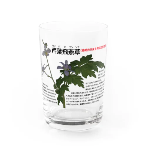 セリバヒエンソウ（薬草） Water Glass