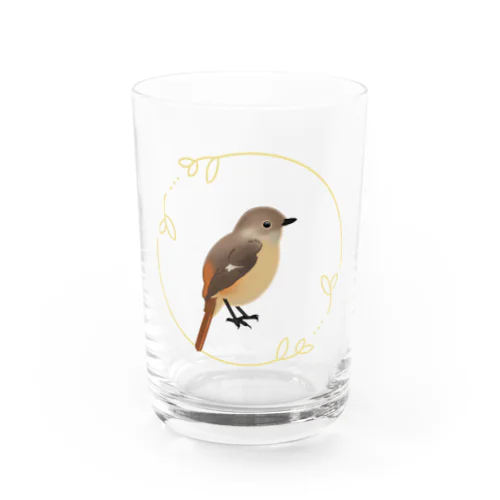 ジョウビタキさん♀ Water Glass