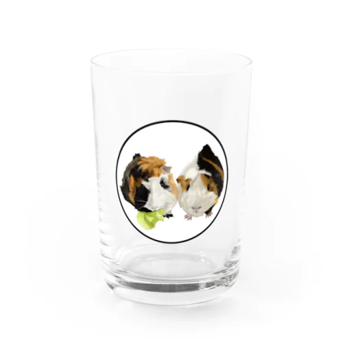 bro Water Glass