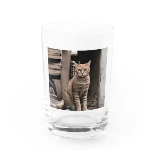 綺麗な座り姿の猫 グラス