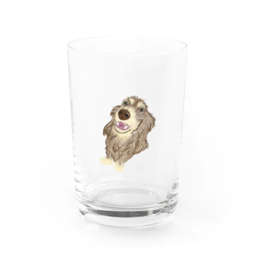 カニンヘンだったはず… Water Glass