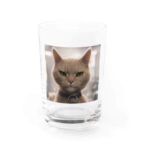 ビックフォト茶虎模様猫 Water Glass