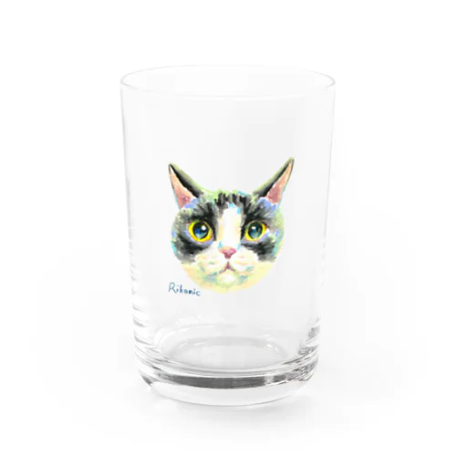 ハチワレねこ Water Glass