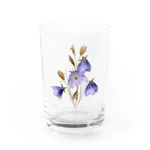 キキョウ Chinese bellflower Water Glass