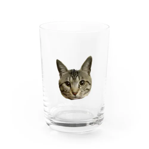 ぼくミーくん Water Glass