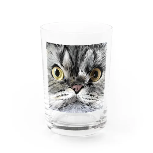 Rooey Water Glass