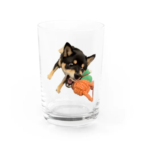 柴犬げんちゃん Water Glass