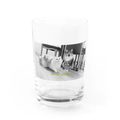 #ネコヒメペット 90ฅ^ơωơ^ฅ♡ Water Glass