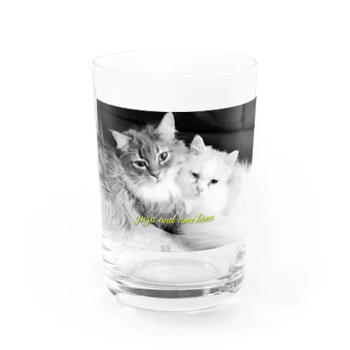 #ネコヒメペット 98ฅ^ơωơ^ฅ♡ Water Glass