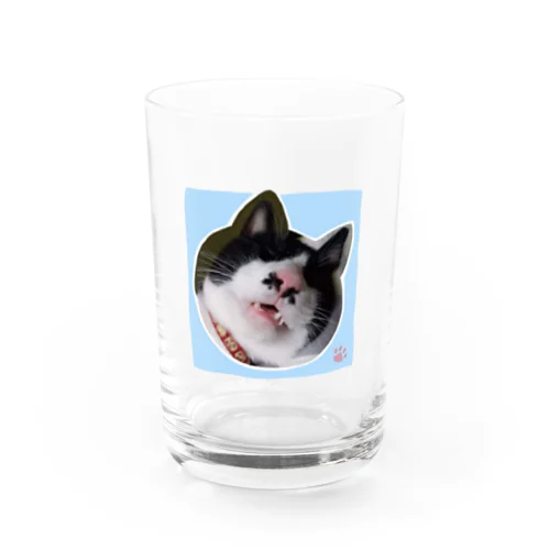 眠りこけた猫。2 Water Glass