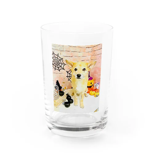 可愛いしばわんHappyHalloweenグッズ Water Glass