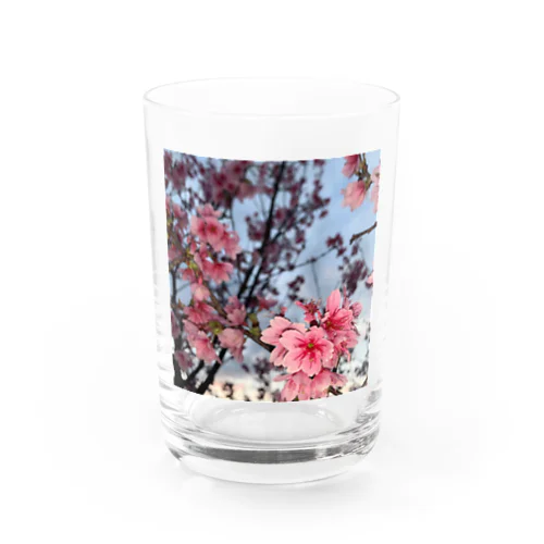 桜 Water Glass