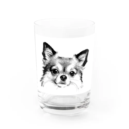 チワワシリーズ Water Glass