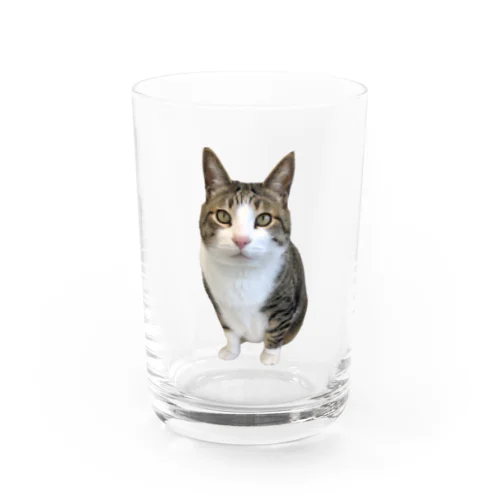 ポテチくん Water Glass