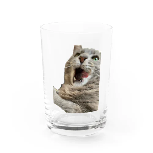 あくびロッタン Water Glass