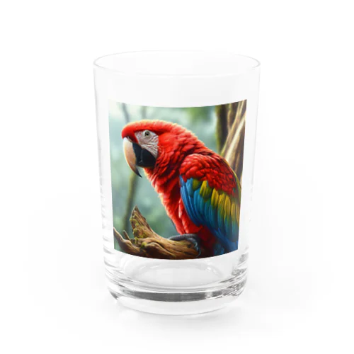 コンゴウインコ Water Glass