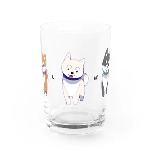 3色柴犬 Water Glass