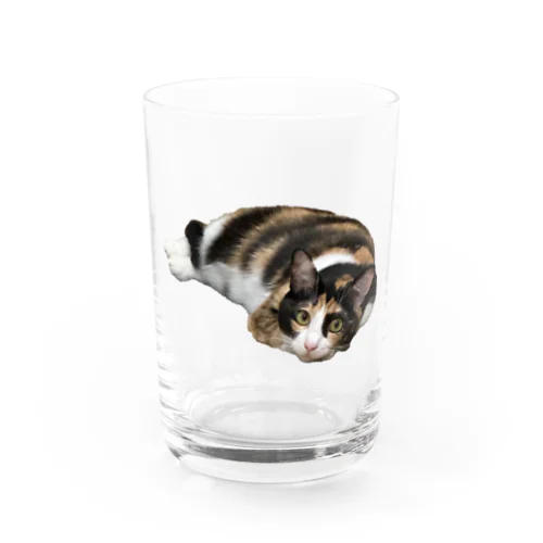 大人気のロムザラシシリーズ Water Glass
