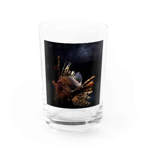 ミノカサゴ Water Glass