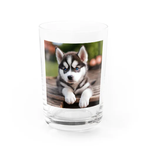 シベリアンハスキーの子犬のグッズ Water Glass