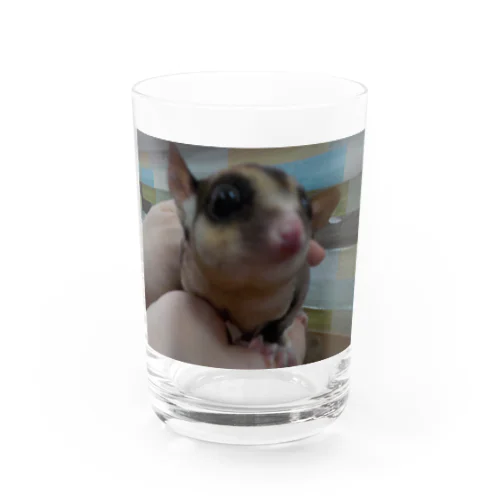 モモンガシリーズグッズ Water Glass