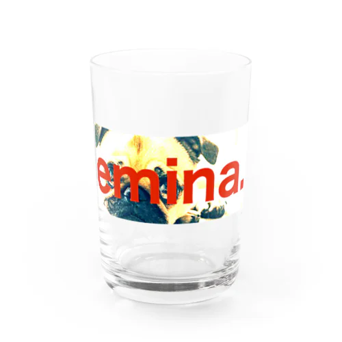 emina. Water Glass