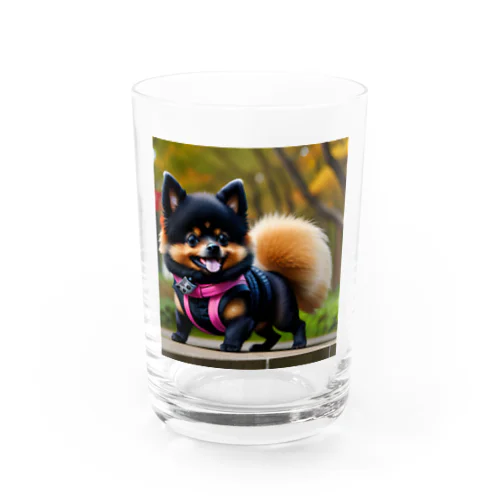 忍犬　ポメ丸 Water Glass