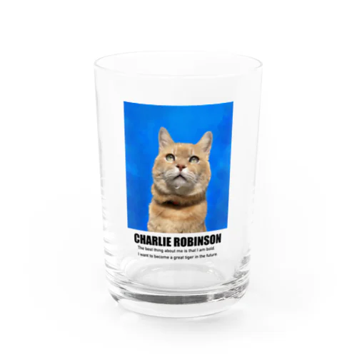 級友Charlie Robinson Water Glass