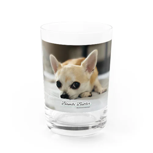 世界初！本物の犬執事・ドッグバトラーのバンビ君 Water Glass