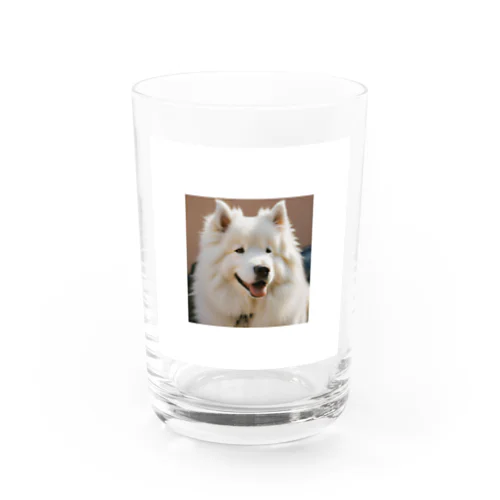 サモエドさん Water Glass