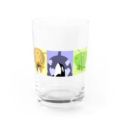 3神 Water Glass