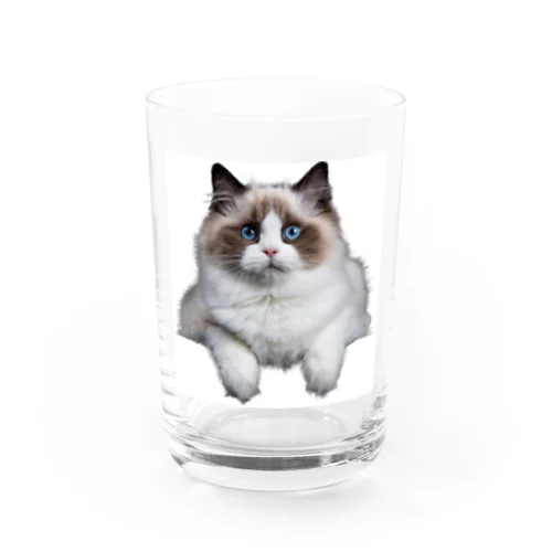 にゃんとも可愛いねこちゃん Water Glass