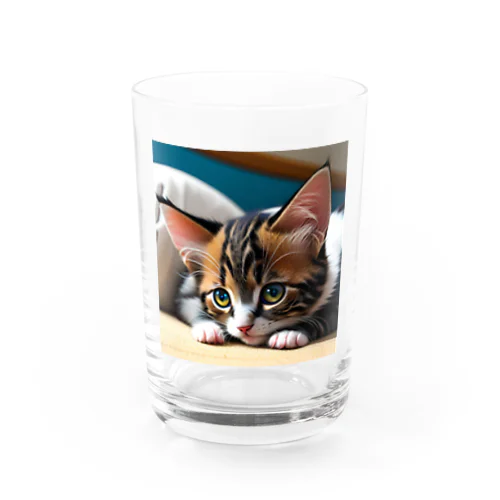 見つめる子猫 Water Glass