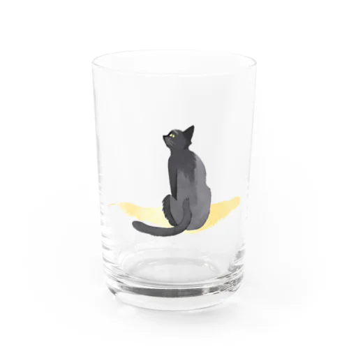 猫のお留守番 グラス