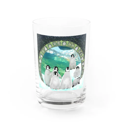 コウテイペンギンのヒナ　たくさん Water Glass