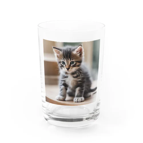 可愛い子猫 Water Glass