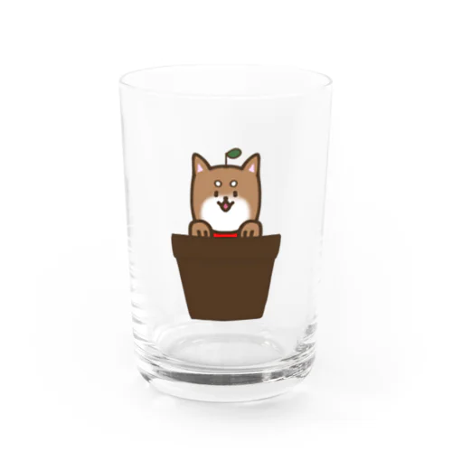 鉢入りわんこ Water Glass