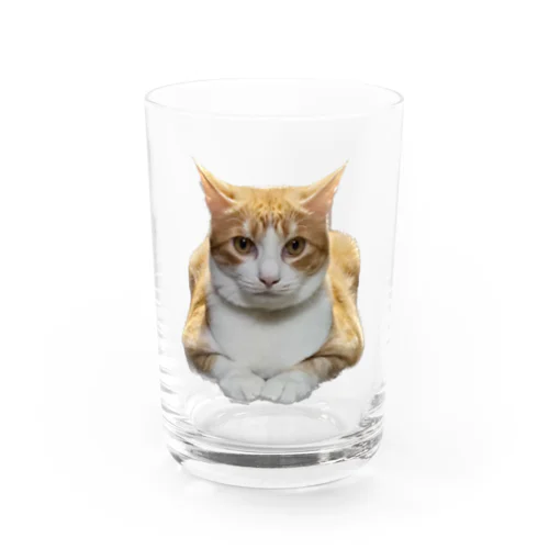 メル Water Glass